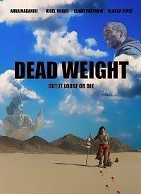    ()